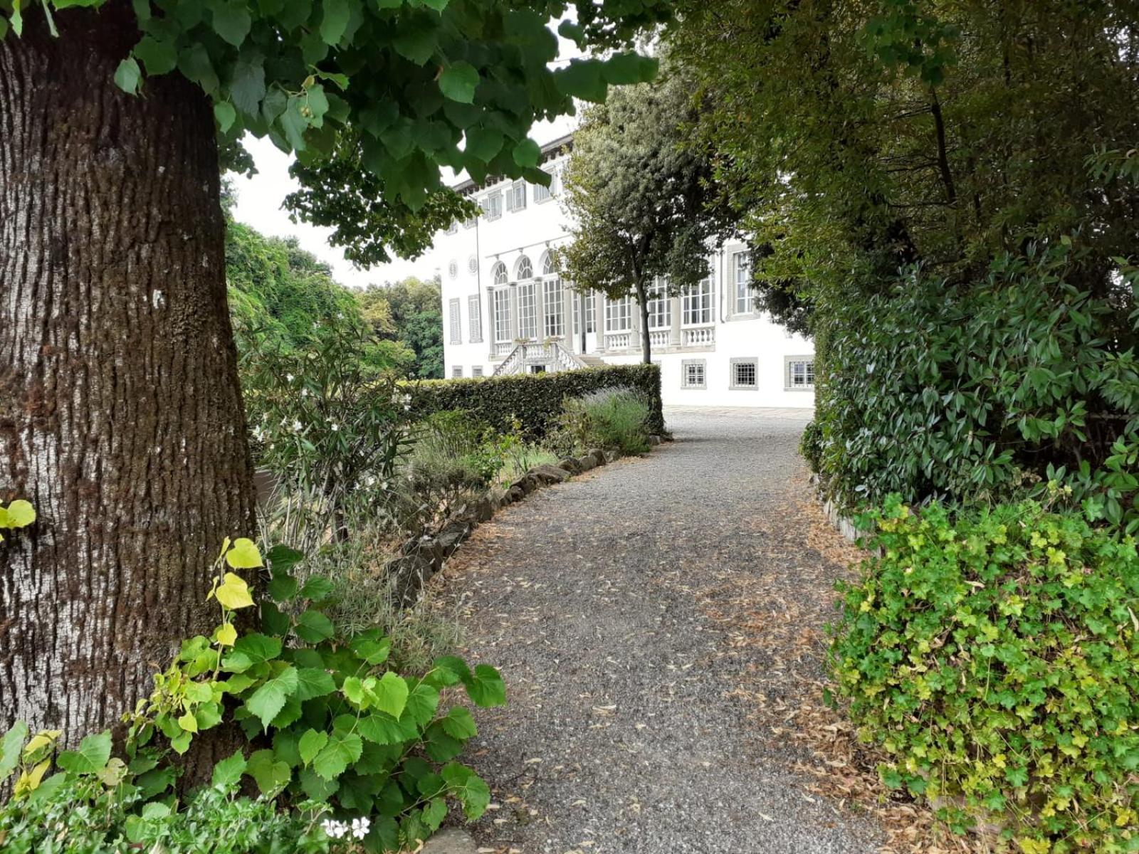 Fattoria Michela Villa Matraia Dış mekan fotoğraf