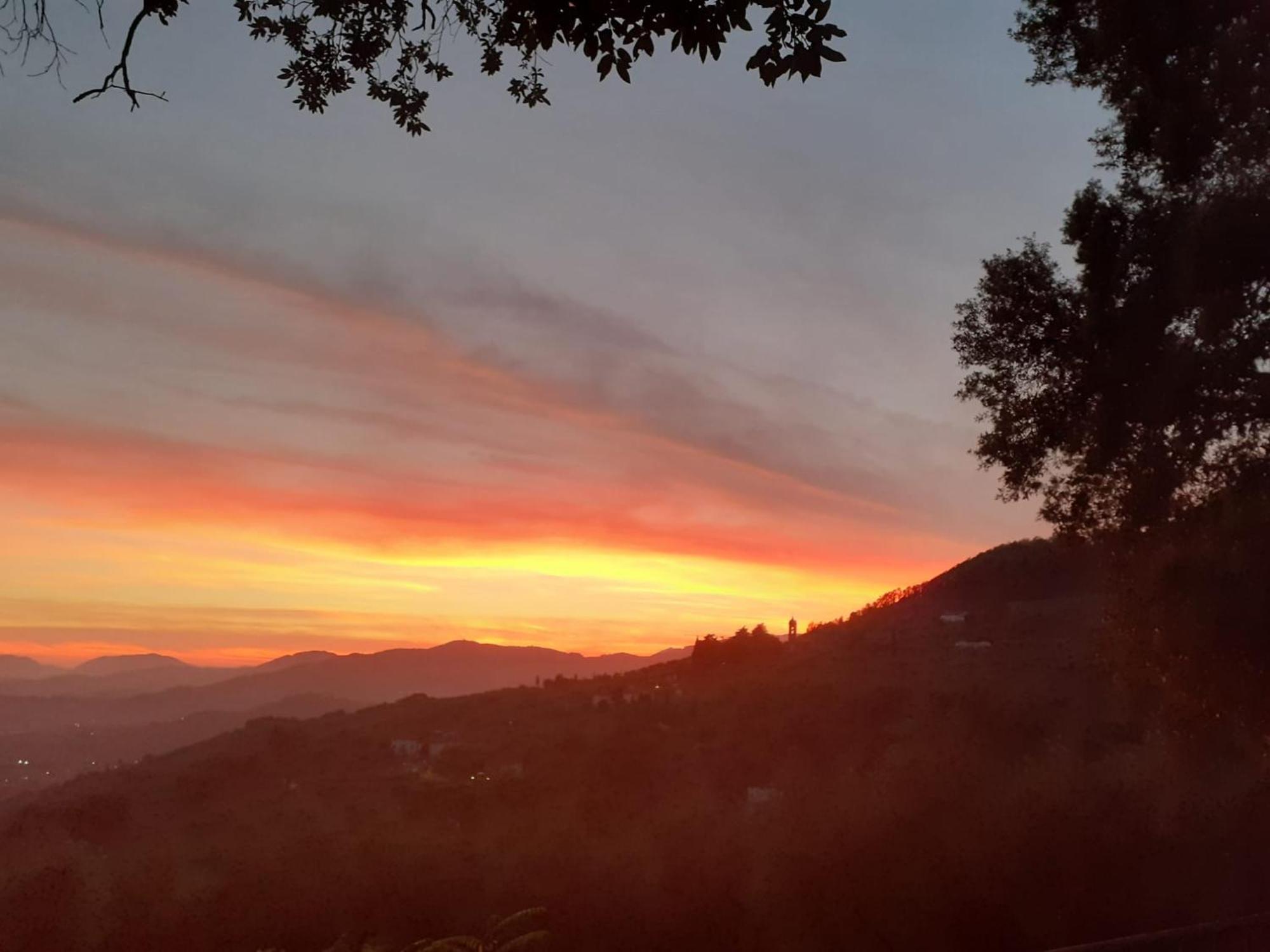 Fattoria Michela Villa Matraia Dış mekan fotoğraf