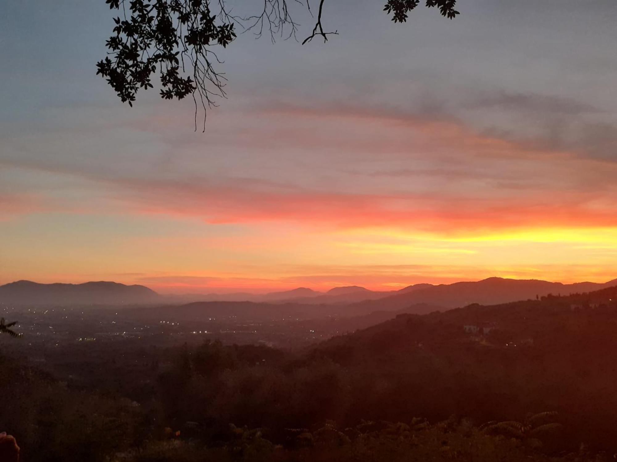Fattoria Michela Villa Matraia Dış mekan fotoğraf
