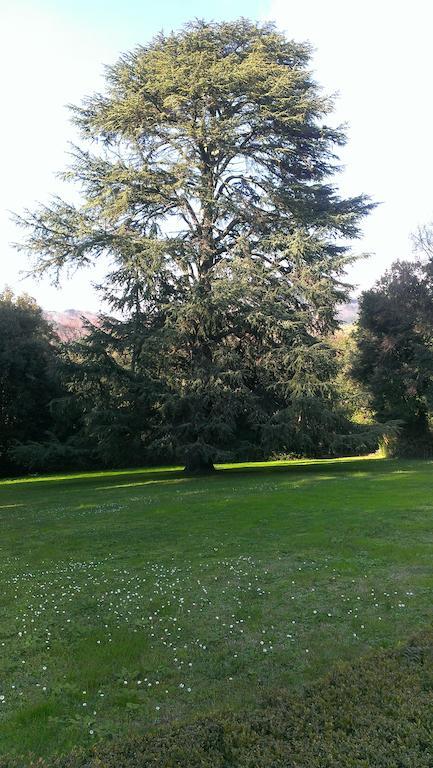 Fattoria Michela Villa Matraia Dış mekan fotoğraf