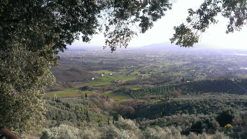 Fattoria Michela Villa Matraia Dış mekan fotoğraf